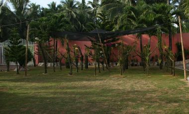 Beach Front House and Lot