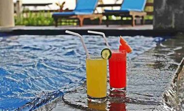 Dijual Cepat Luxury Villa Komersil Di Kawasan Wisata Ubud - Bali.