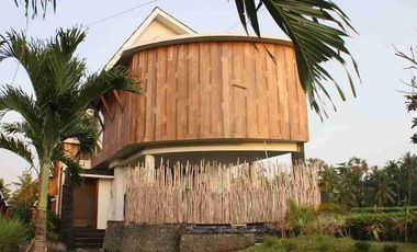 Dijual Cepat Luxury Villa Komersil Di Kawasan Wisata Ubud - Bali.