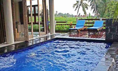 Dijual Cepat Luxury Villa Komersil Di Kawasan Wisata Ubud - Bali.