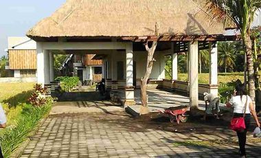 Dijual Cepat Luxury Villa Komersil Di Kawasan Wisata Ubud - Bali.