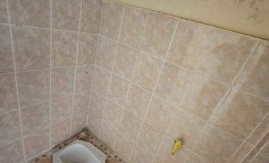 Jual Cepat Ruko Townhouse Botania Garden Smp52 Batam Center Central Hill