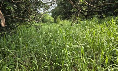 For Sale: 714 sqm Lot in Limay, Bataan