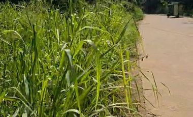 For Sale: 714 sqm Lot in Limay, Bataan