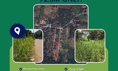 For Sale: 714 sqm Lot in Limay, Bataan