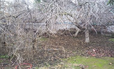 TERRENO PARA PROYECTO INMOBILLIARIO U OTRO