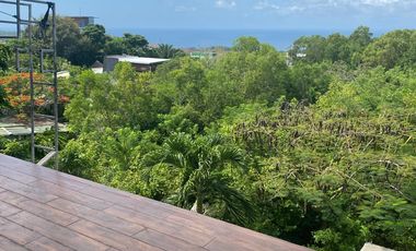 LAND 10000 m2 FOR SALE WITH VIEW & BONUS BUILDING – BLIMBINGSARI, PECATU