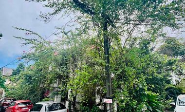 PRIME RESIDENTIAL LOT WITH OLD HOUSE AT LOYOLA GRAND VILLAS