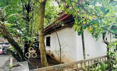 PRIME RESIDENTIAL LOT WITH OLD HOUSE AT LOYOLA GRAND VILLAS