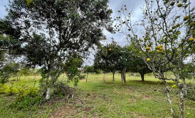 Venta, Casa lote, Campo Verde Barichara - Colombia