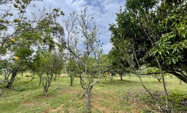 Venta, Casa lote, Campo Verde Barichara - Colombia