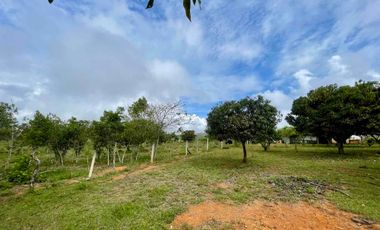 Venta, Casa lote, Campo Verde Barichara - Colombia