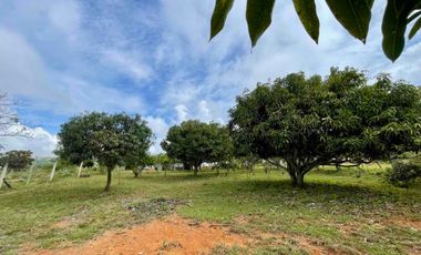 Venta, Casa lote, Campo Verde Barichara - Colombia