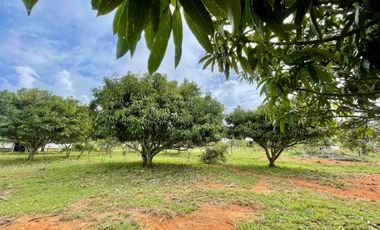 Venta, Casa lote, Campo Verde Barichara - Colombia