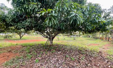 Venta, Casa lote, Campo Verde Barichara - Colombia