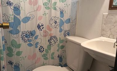 Departamento arriendo duplex tipo Loft en Forestal bajo