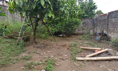 SE VENDE 2 CASAS CON 2 FRENTES, SUPERFICIE TOTAL 600 M². QUININDE – ESMERALDAS - ECUADOR
