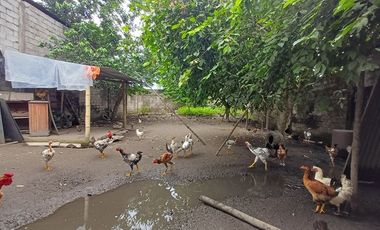 SE VENDE 2 CASAS CON 2 FRENTES, SUPERFICIE TOTAL 600 M². QUININDE – ESMERALDAS - ECUADOR