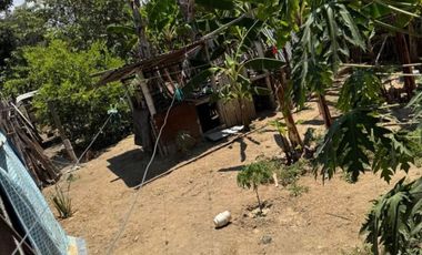 SE VENDE PROPIEDAD EN LA ZONA DEL CADY, PARROQUIA COLÓN