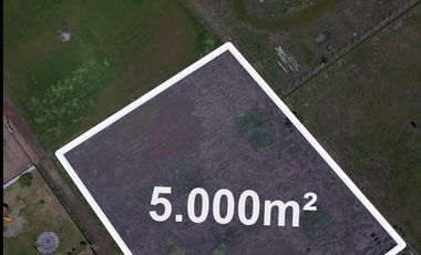 Venta de terreno 5000m2, comuna Olivar Alto, Rancagua