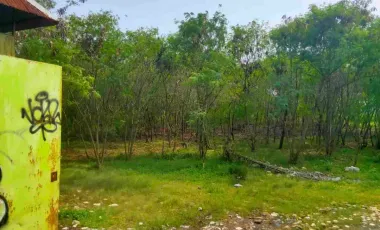 Tanah disewakan di RW 06, Cempaka Putih Barat, Cempaka Putih, Jakarta Pusat, Daerah Khusus Ibukota Jakarta