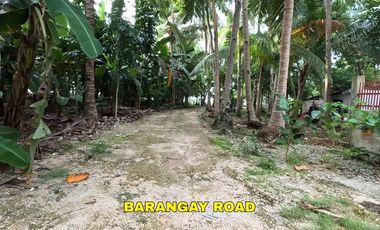 FENCED LOT FOR SALE WITH SMALL HOUSE