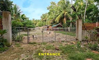 FENCED LOT FOR SALE WITH SMALL HOUSE