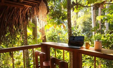 Si eres un promotor del ecoturismo con una conexión especial por la selva, esta es la oportunidad que buscabas.