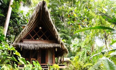 Si eres un promotor del ecoturismo con una conexión especial por la selva, esta es la oportunidad que buscabas.