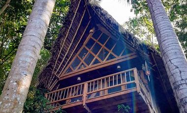 Si eres un promotor del ecoturismo con una conexión especial por la selva, esta es la oportunidad que buscabas.