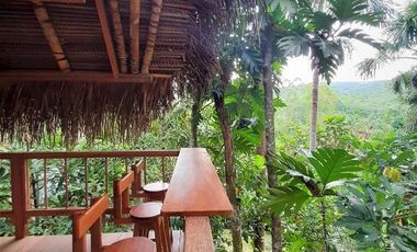 Si eres un promotor del ecoturismo con una conexión especial por la selva, esta es la oportunidad que buscabas.