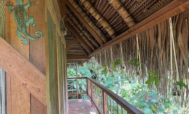 Si eres un promotor del ecoturismo con una conexión especial por la selva, esta es la oportunidad que buscabas.