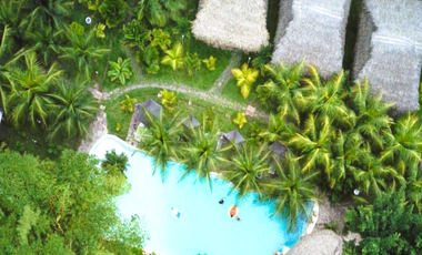 Su visión como inversor es la que definirá el destino de este paraíso tropical.