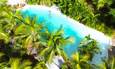 Su visión como inversor es la que definirá el destino de este paraíso tropical.
