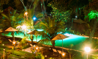 Su visión como inversor es la que definirá el destino de este paraíso tropical.