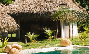 Su visión como inversor es la que definirá el destino de este paraíso tropical.