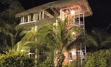 Su visión como inversor es la que definirá el destino de este paraíso tropical.