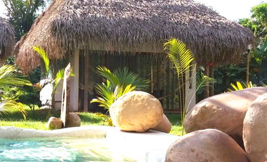Su visión como inversor es la que definirá el destino de este paraíso tropical.