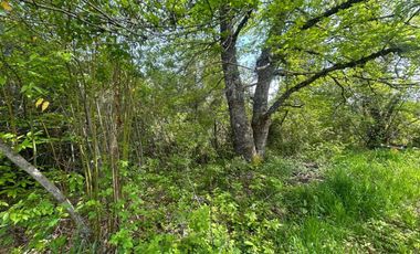 Se vende Exclusiva parcela con orilla  a Río Cayumapu 13.000 mt2