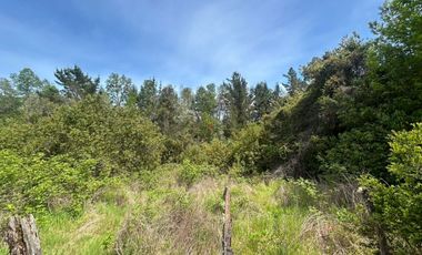 Se vende Exclusiva parcela con orilla  a Río Cayumapu 13.000 mt2