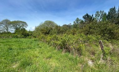 Se vende Exclusiva parcela con orilla  a Río Cayumapu 13.000 mt2