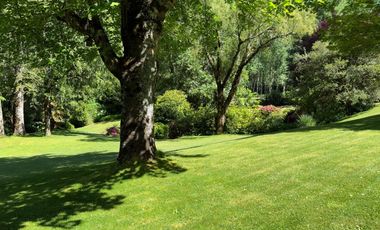 Campo lechero y ganadero en venta en las cercanías de Panguipulli