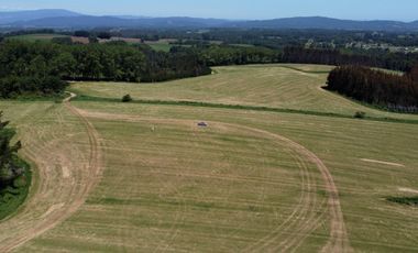 Campo lechero y ganadero en venta en las cercanías de Panguipulli