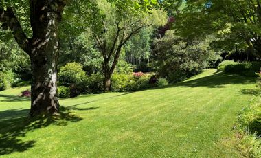 Campo lechero y ganadero en venta en las cercanías de Panguipulli