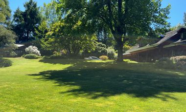 Campo lechero y ganadero en venta en las cercanías de Panguipulli