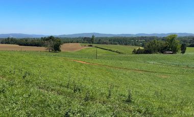 Campo lechero y ganadero en venta en las cercanías de Panguipulli