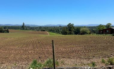 Campo lechero y ganadero en venta en las cercanías de Panguipulli