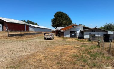 Campo lechero y ganadero en venta en las cercanías de Panguipulli