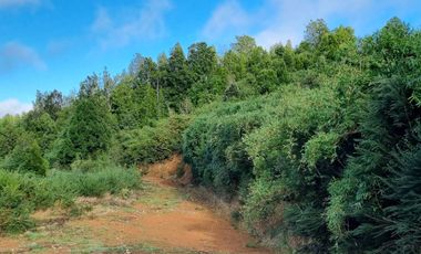 Parcela con una hermosa vista en Cutipay Alto