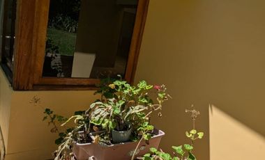 Renta de Casa, Puembo, Sector Chiche Obraje en Conjunto Familiar, Ecuador